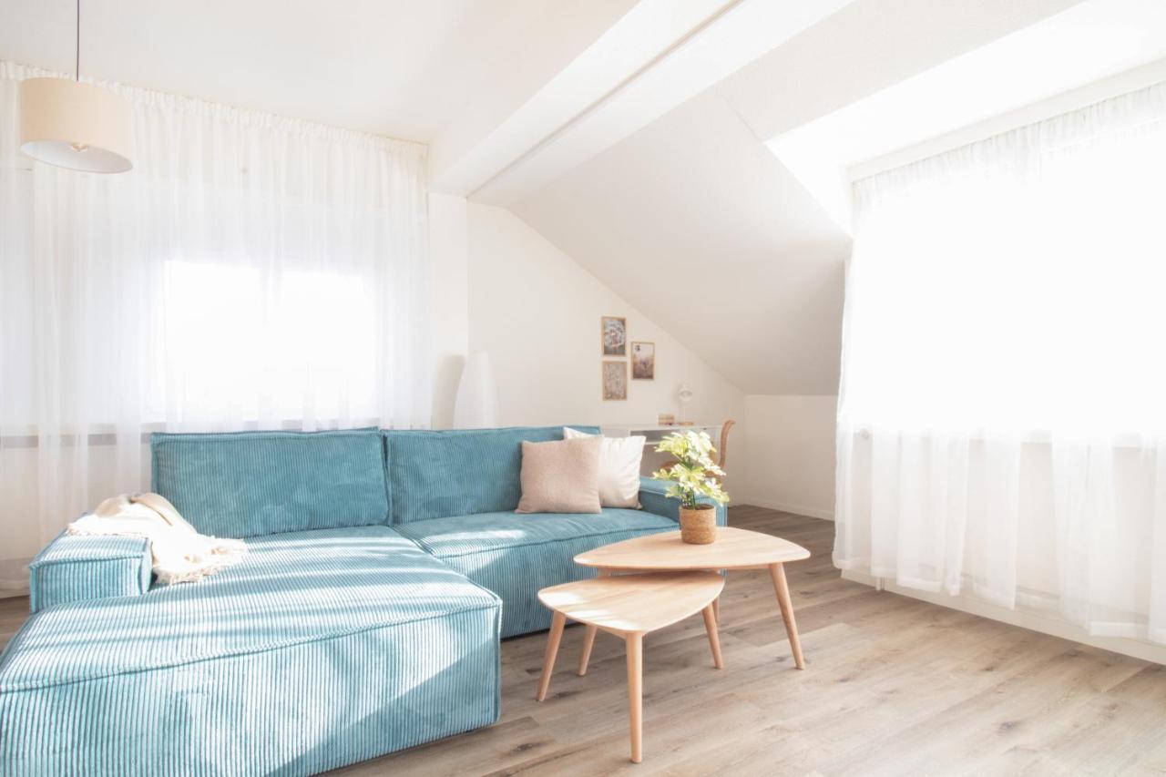 Loewe Apartment Blau Neuhausen Am Rheinfall Exteriér fotografie